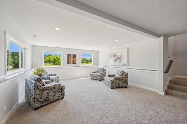 living area with carpet and a textured ceiling