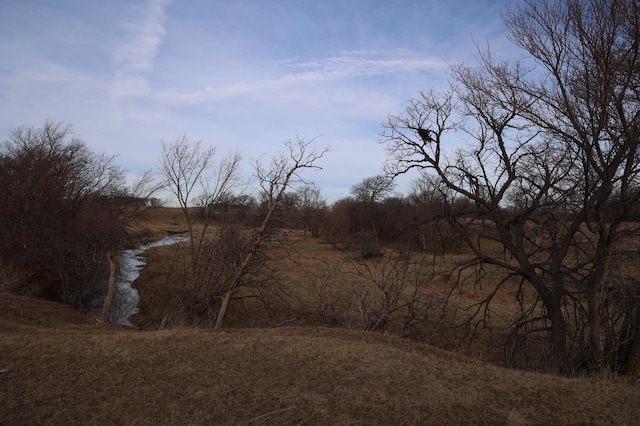 view of local wilderness