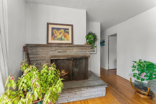 room details with a stone fireplace and wood finished floors