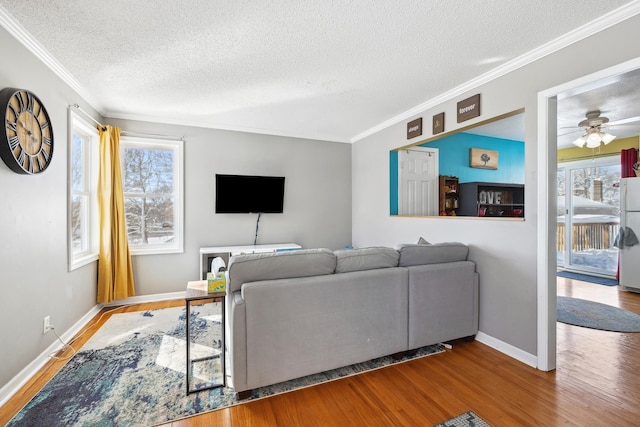 living room featuring a textured ceiling, crown molding, baseboards, and wood finished floors