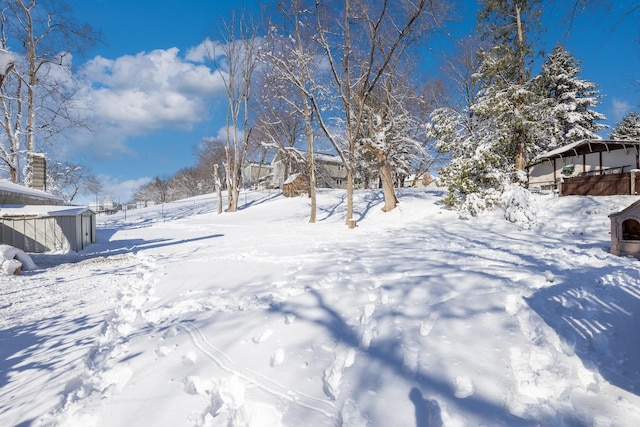 view of snowy yard