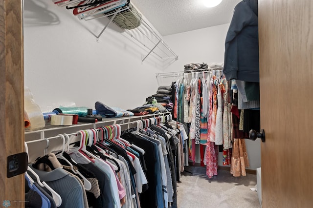 spacious closet featuring carpet flooring