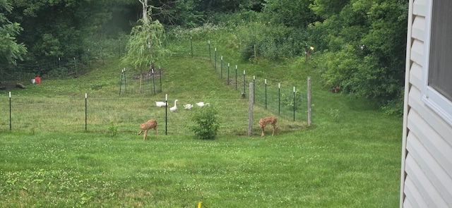 view of yard with fence and a rural view