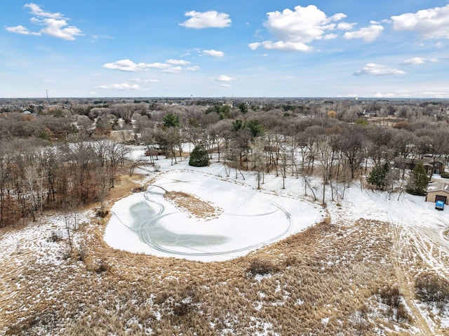 view of snowy aerial view