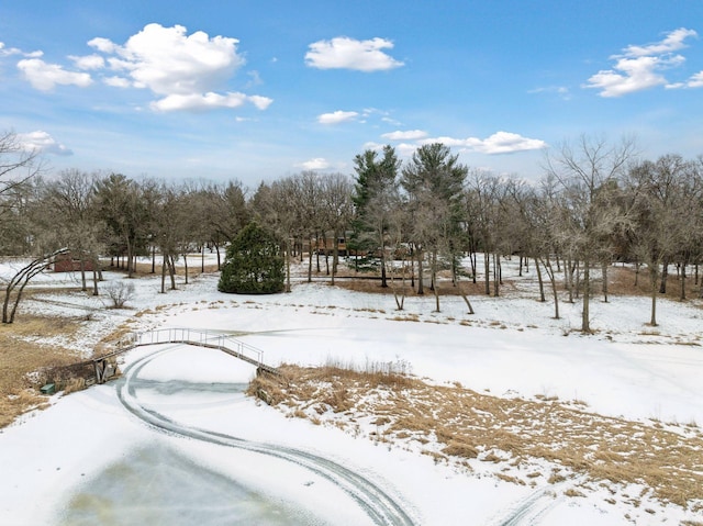 view of snowy yard