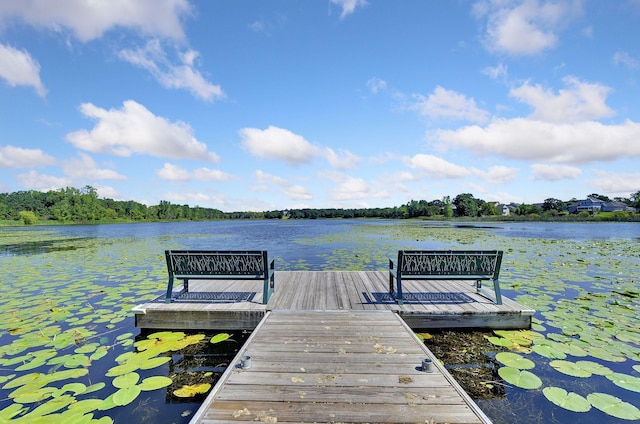 dock area with a water view