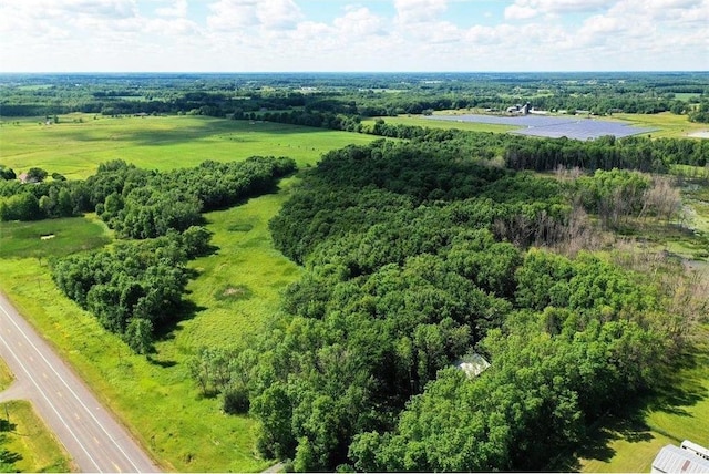 169XX Lake Blvd, Shafer MN, 55074 land for sale