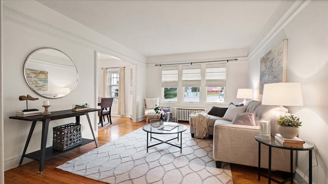 living room with radiator heating unit and hardwood / wood-style floors