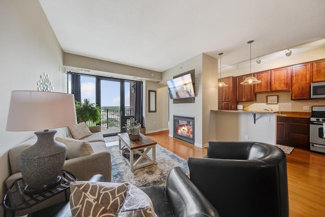 living room featuring light hardwood / wood-style floors and track lighting