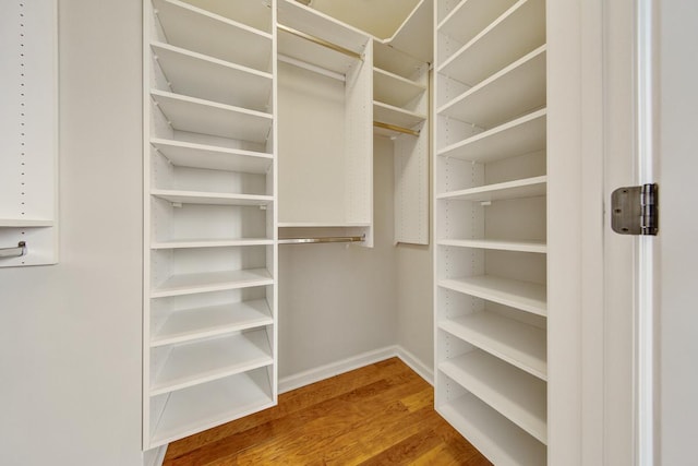 walk in closet featuring wood-type flooring