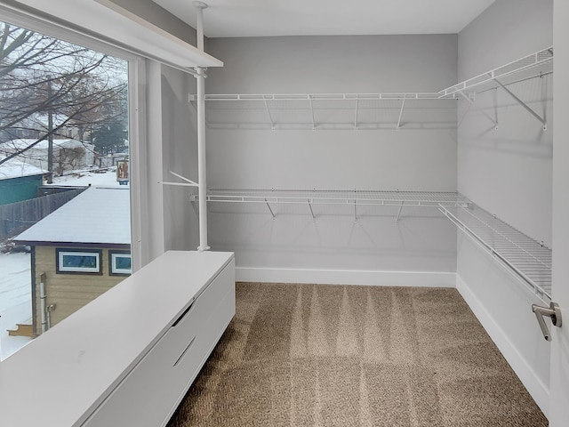 1447 Juliet Ave, Saint Paul, MN 55105 - spacious closet featuring dark carpet