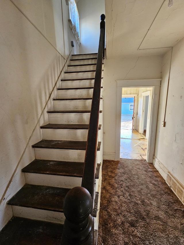 stairs featuring carpet flooring