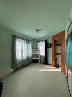 unfurnished bedroom featuring carpet floors