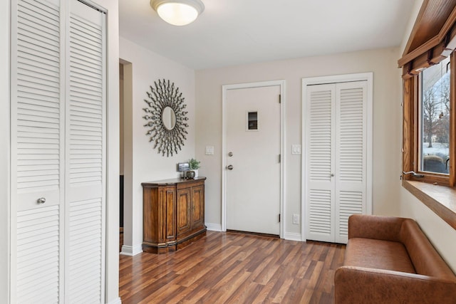 foyer featuring dark wood-type flooring