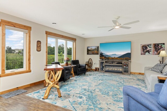 living room with ceiling fan and wood-type flooring