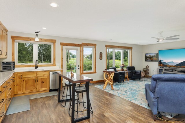 kitchen featuring ceiling fan, sink, dishwasher, and dark wood-type flooring