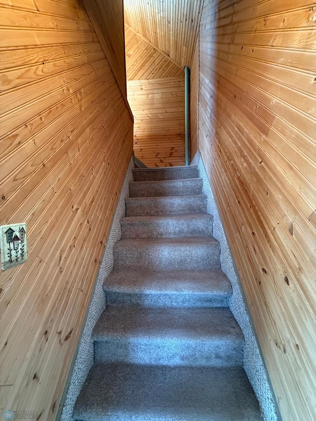 stairs with wooden ceiling and wooden walls