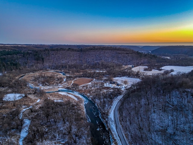 aerial view at dusk with a wooded view