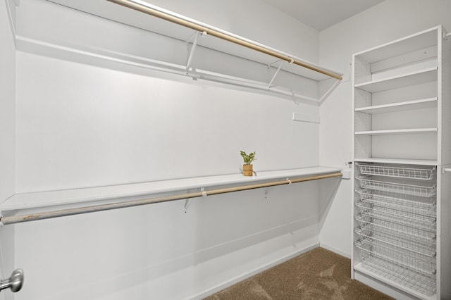 spacious closet featuring dark colored carpet