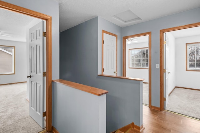 hall with a textured ceiling, light colored carpet, and a healthy amount of sunlight