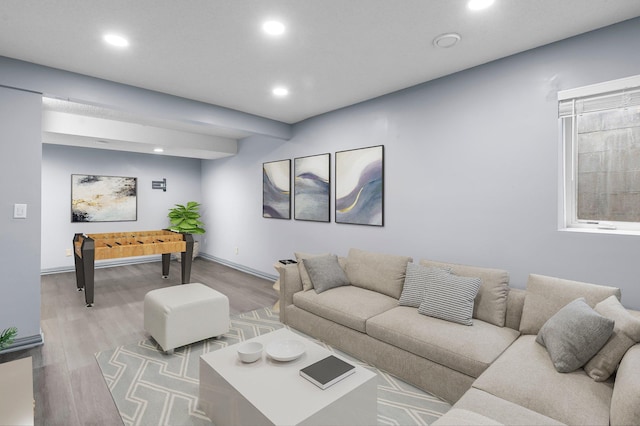 living room featuring light hardwood / wood-style flooring