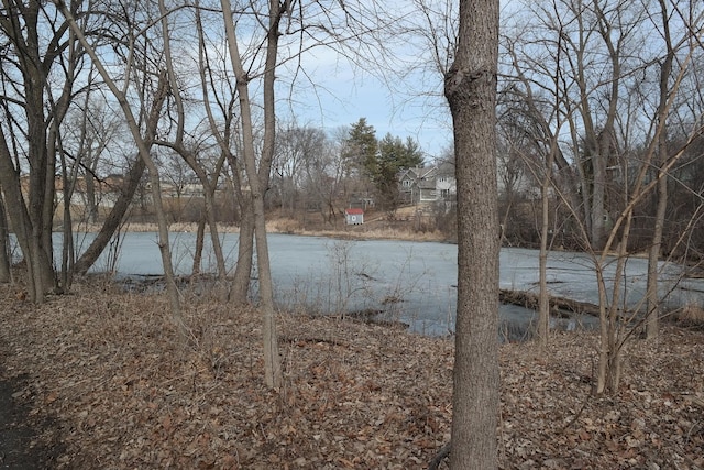 view of water feature