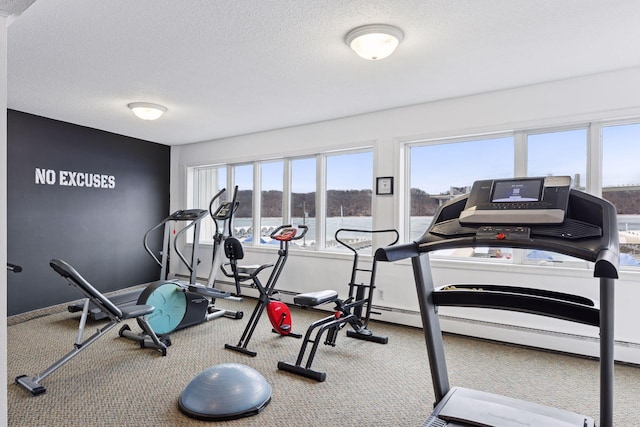 6213 Saint Croix Trl N Unit 102, Oak Park Heights, MN 55082 - workout room featuring carpet floors, a textured ceiling, and baseboards
