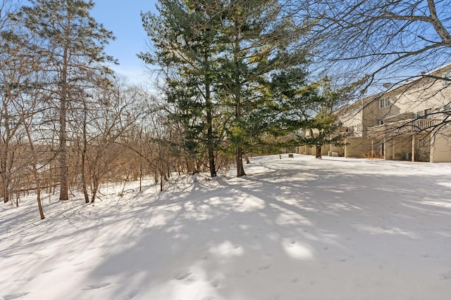 view of yard covered in snow