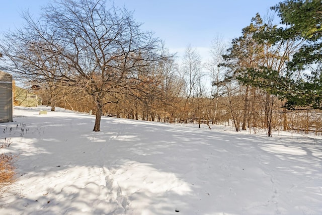 view of snowy yard