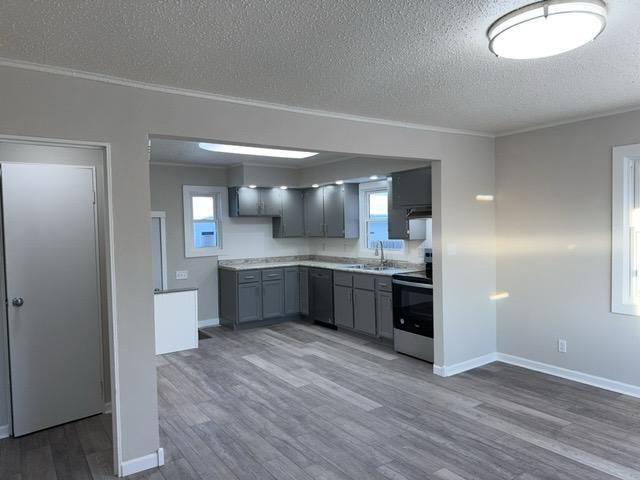 kitchen with gray cabinets, stainless steel range with electric cooktop, crown molding, and dark hardwood / wood-style floors