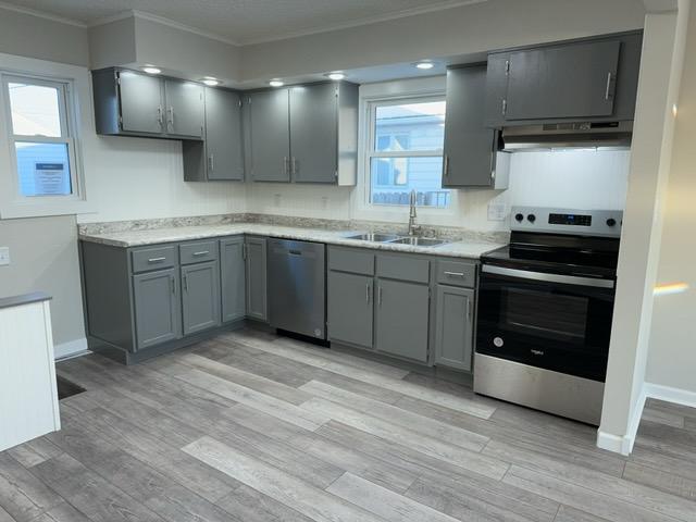 kitchen with stainless steel appliances, light hardwood / wood-style floors, crown molding, gray cabinets, and sink