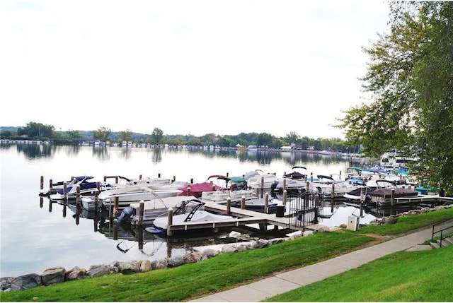 351 Morse Ave, Excelsior, MN 55331 - dock featuring a water view