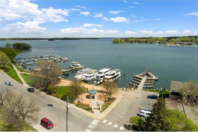 351 Morse Ave, Excelsior, MN 55331 - bird's eye view of a large body of water