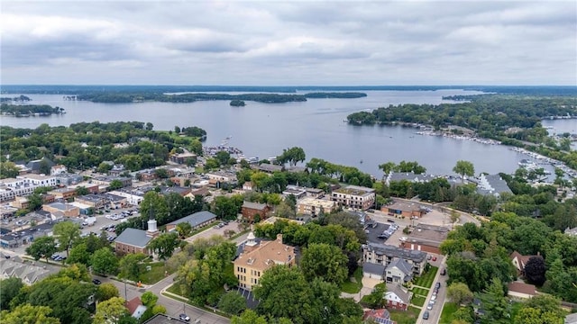 351 Morse Ave, Excelsior, MN 55331 - bird's eye view of a nearby body of water