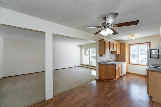 kitchen featuring sink, a wealth of natural light, white appliances, and dark hardwood / wood-style floors