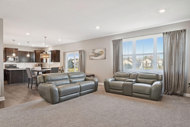 living room featuring sink and carpet