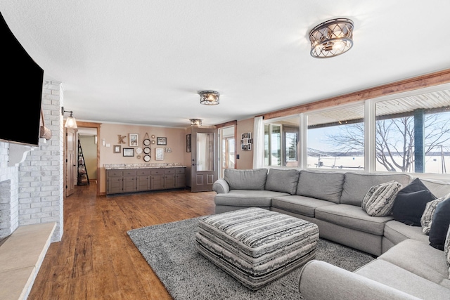 living room featuring wood finished floors and a fireplace