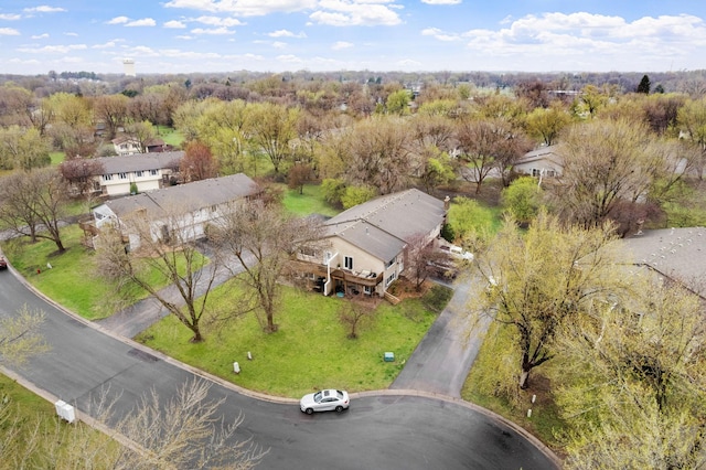 bird's eye view