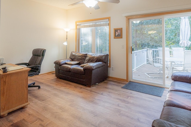 office space featuring light wood-style floors, plenty of natural light, and ceiling fan