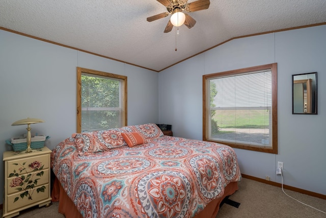 7006 Laura Ln, Saint Peter, MN 56082 - photo 24