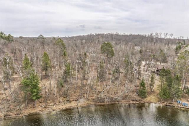 XXXX Lake Washburn Road Ne, Outing MN, 56662 land for sale