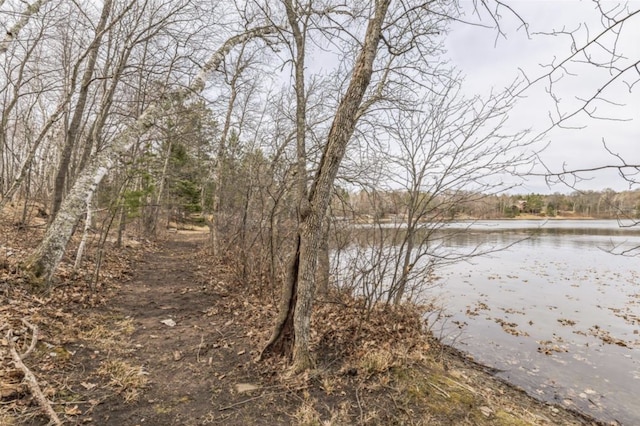 XXXXX Birch Bay Ln NE, Outing MN, 56662 land for sale