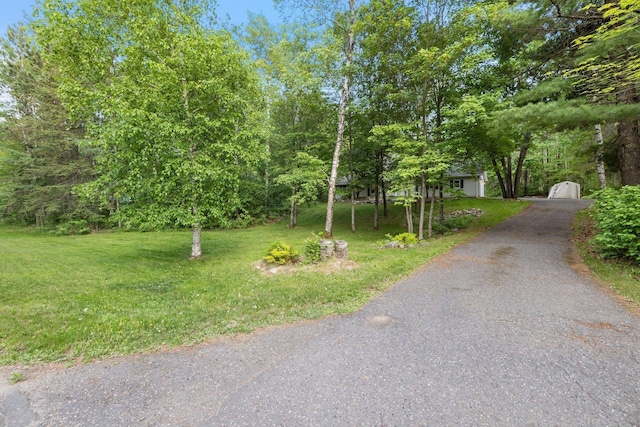 318 Viking Dr, Hoyt Lakes, MN 55750 - photo 57