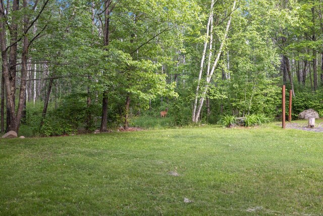 318 Viking Dr, Hoyt Lakes, MN 55750 - photo 59