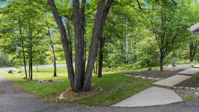 318 Viking Dr, Hoyt Lakes, MN 55750 - photo 62