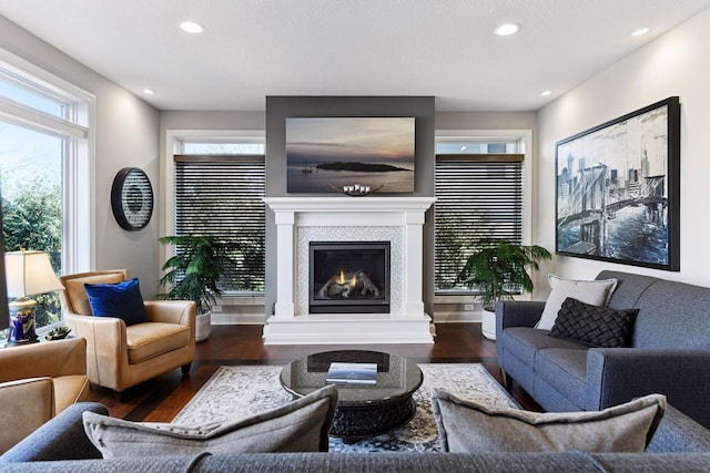 221 George St, Excelsior, MN 55331 - living room featuring wood finished floors, recessed lighting, plenty of natural light, and a glass covered fireplace