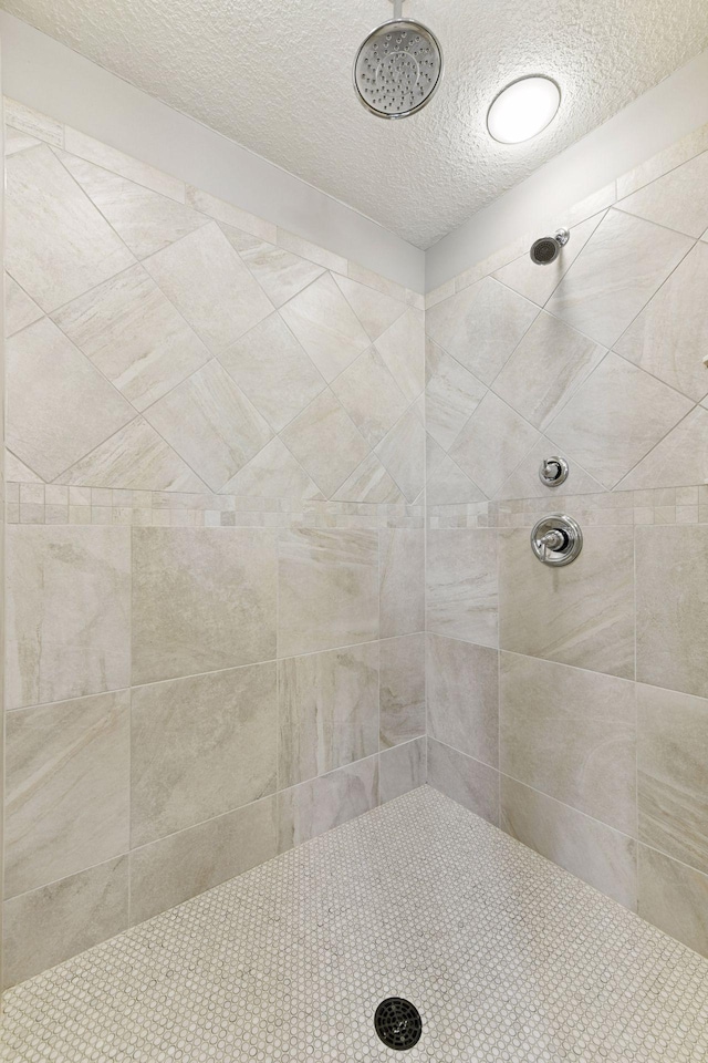 221 George St, Excelsior, MN 55331 - bathroom with a textured ceiling and a tile shower