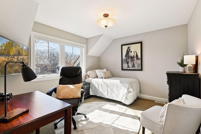 221 George St, Excelsior, MN 55331 - bedroom with carpet floors and baseboards