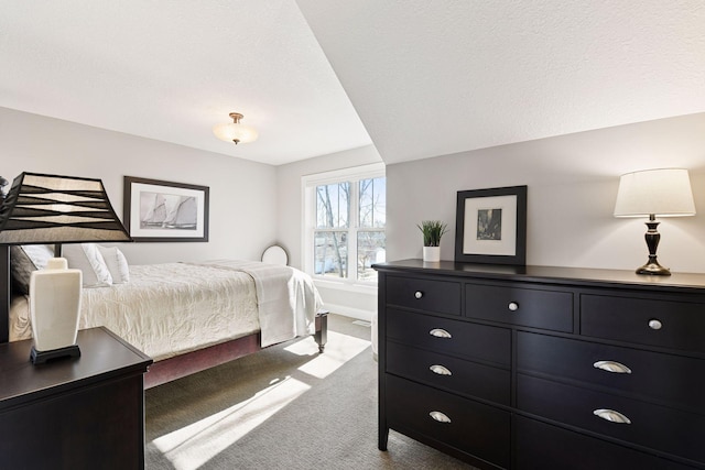 221 George St, Excelsior, MN 55331 - carpeted bedroom featuring baseboards