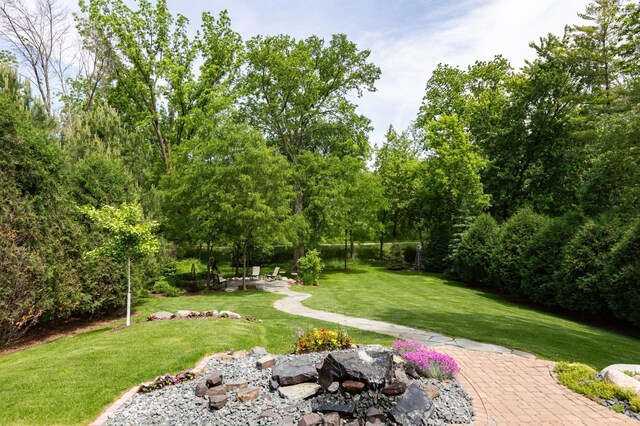 221 George St, Excelsior, MN 55331 - view of grassy yard with a patio